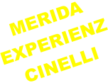 MERIDA EXPERIENZ CINELLI